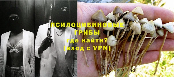молекула духа Верхний Тагил